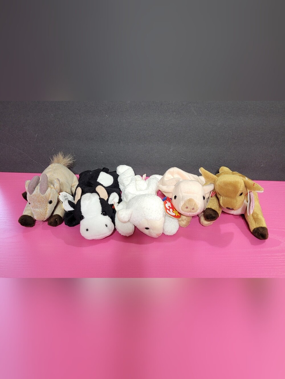 Ty Beanie Babies Plush Animals Set Of 5 (1727)